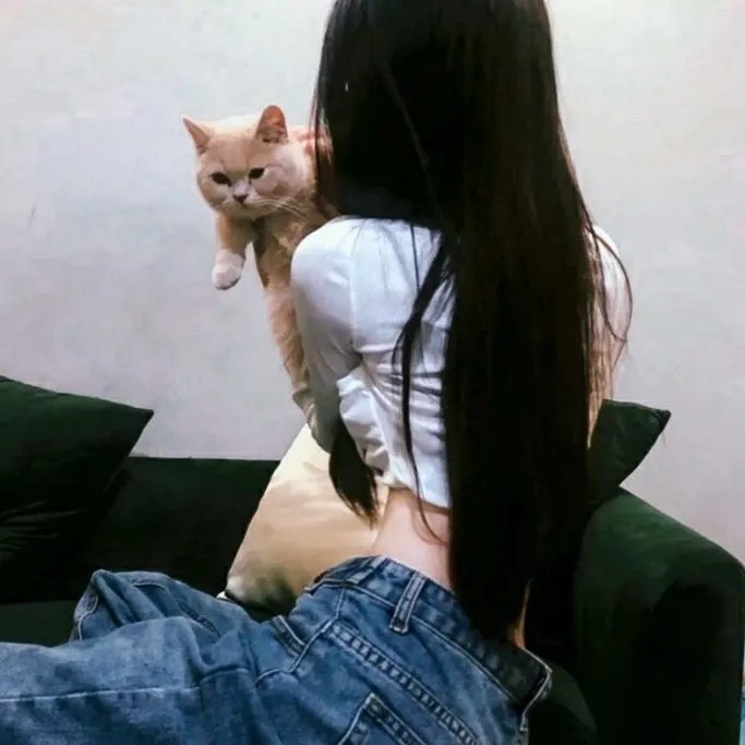 无风的时光