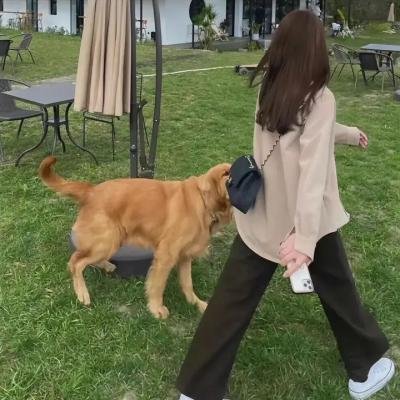 报到日